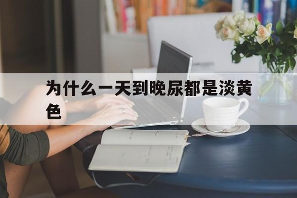 为什么一天到晚尿都是淡黄色(一天到晚尿都是黄的是什么意思)