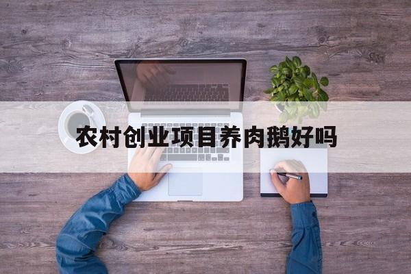 农村创业项目养肉鹅好吗(2021农村养鹅能赚钱吗)