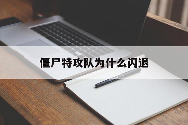 僵尸特攻队为什么闪退(僵尸特攻队如何设置成中文)