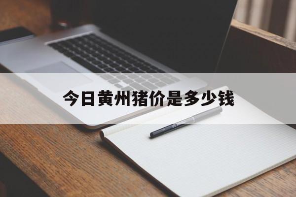今日黄州猪价是多少钱(今日猪价涨跌表今天猪价表湖北猪价)
