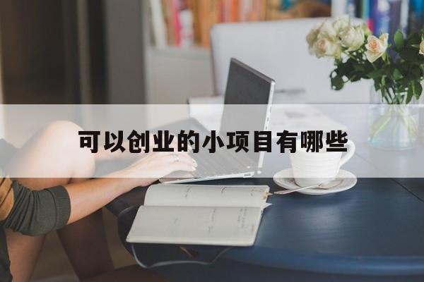 可以创业的小项目有哪些(有什么创业的小项目可以挣钱的)