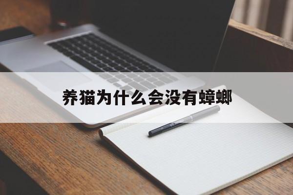 养猫为什么会没有蟑螂(为什么有猫的地方没有蟑螂)
