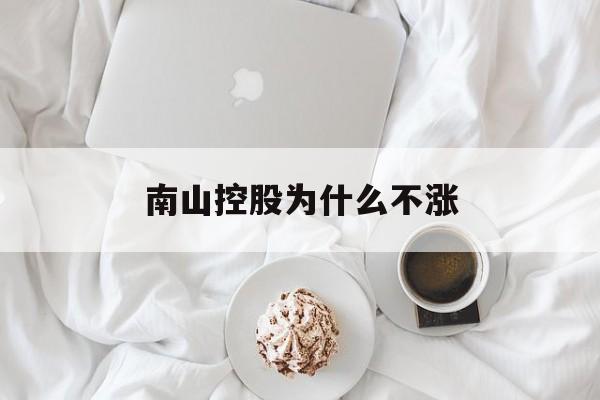 南山控股为什么不涨(南山控股为什么不涨个股)