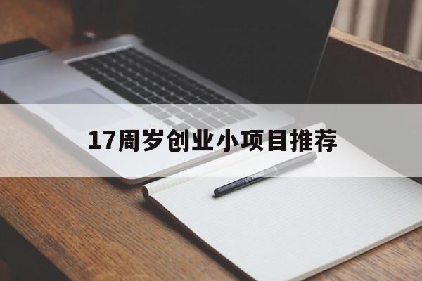 17周岁创业小项目推荐(17周岁创业小项目推荐怎么写)